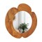 Costway Irregular Wall Mirror 29 Inch Rustic Hanging Vanity Mirror with Teak Wood Frame
